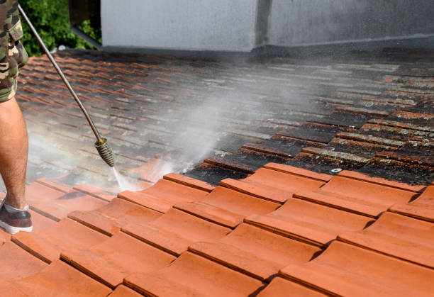 Best Roof Pressure Washing  in Woodville, FL